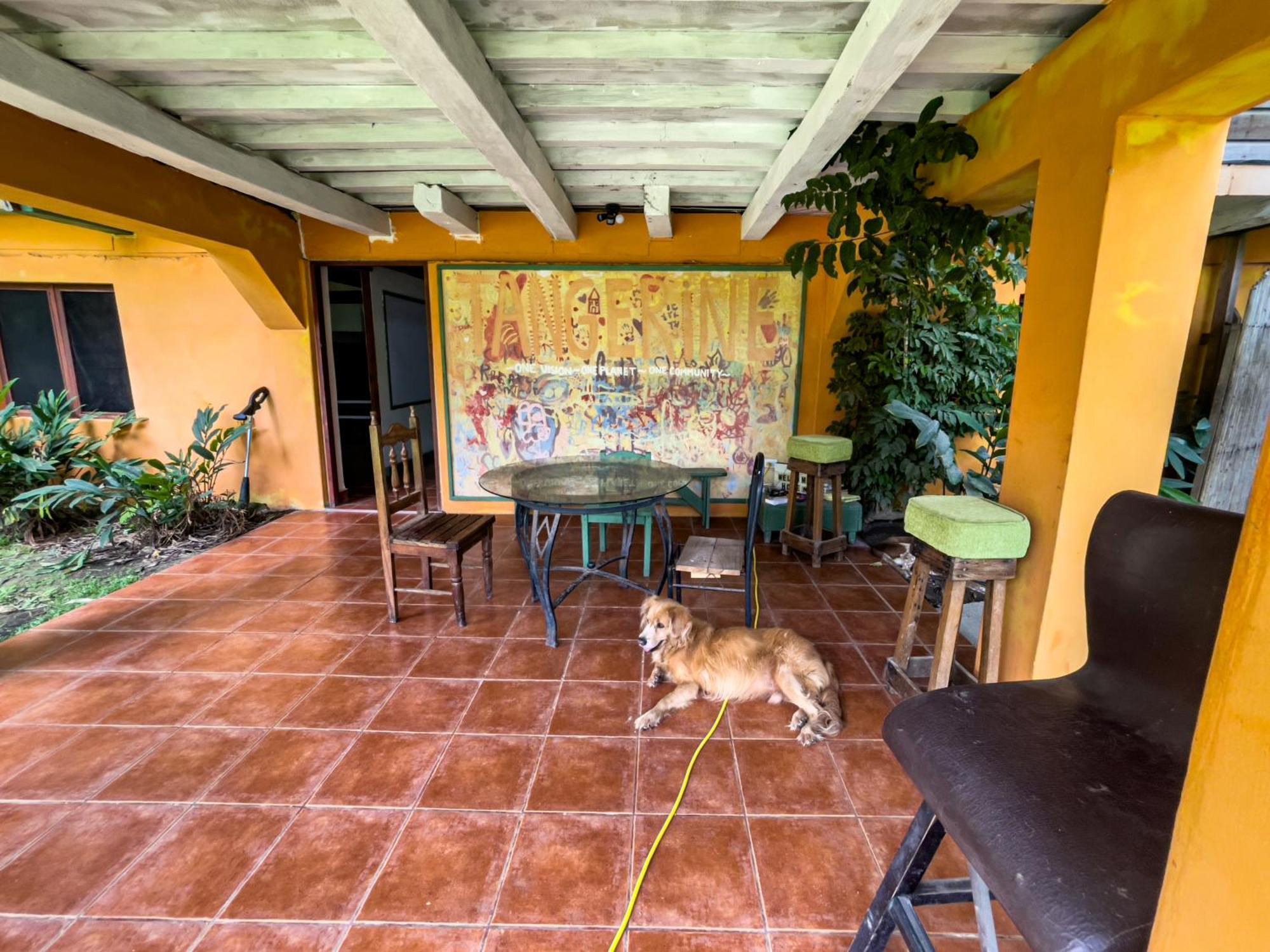 Garden Rooms Bocas Town Ngoại thất bức ảnh