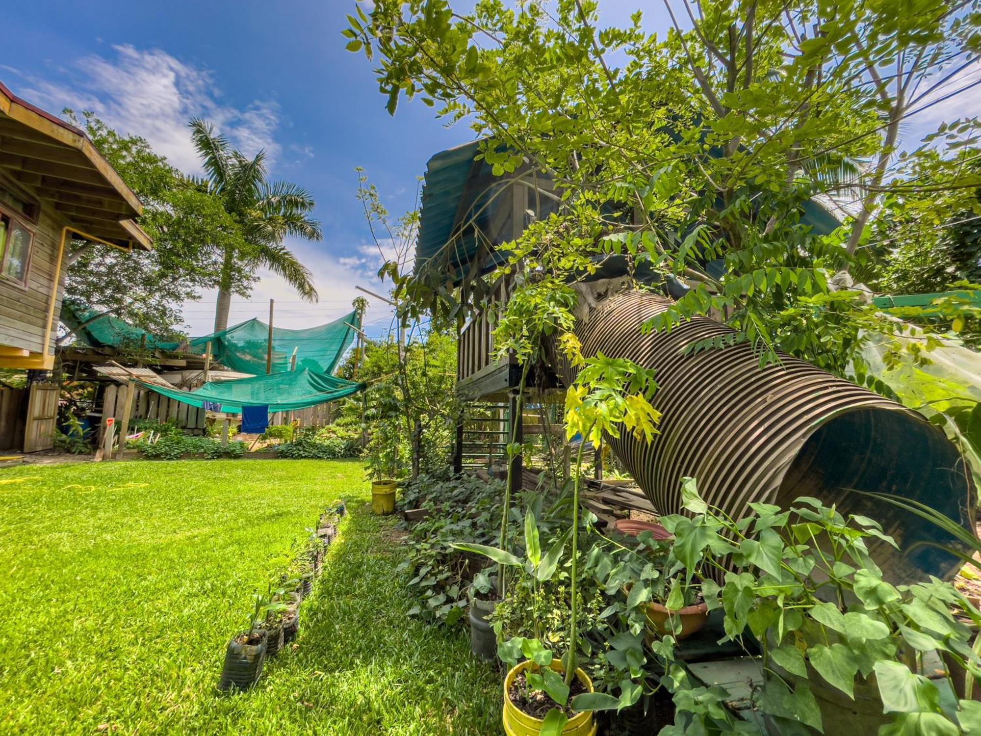 Garden Rooms Bocas Town Ngoại thất bức ảnh
