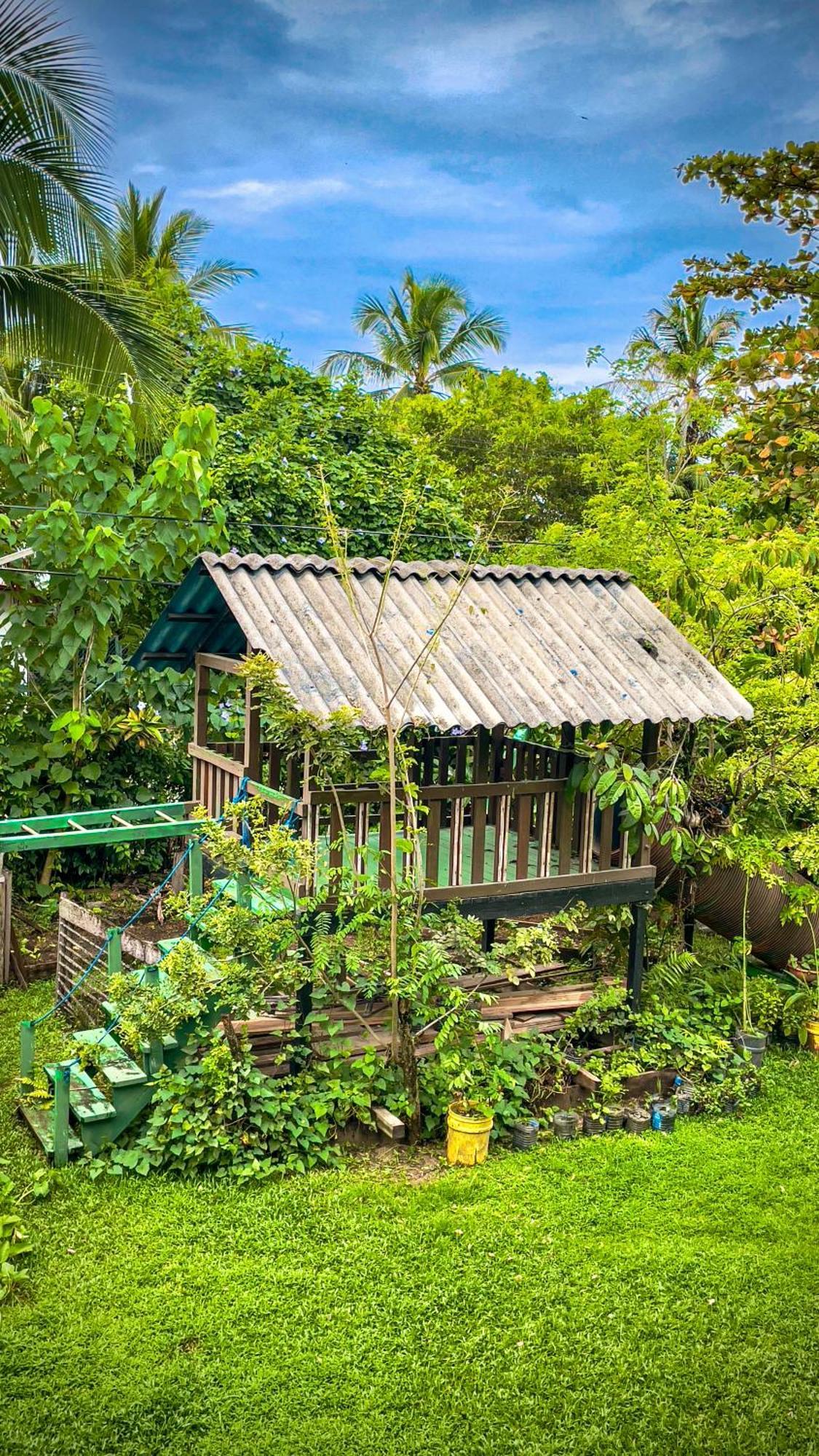 Garden Rooms Bocas Town Ngoại thất bức ảnh
